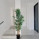 Gloria Bendita Appartement